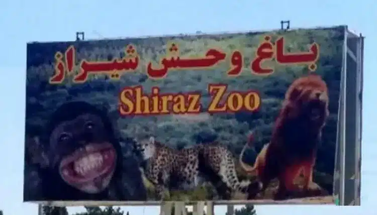باغ وحش شیراز از بهترین انتخاب ها برای تفریح در شیراز